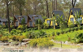 Phoenix Mộc Châu Resort